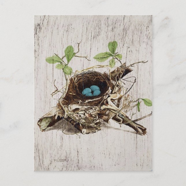 Postal escritura vintage ephemera bird nest french botanc (Anverso)
