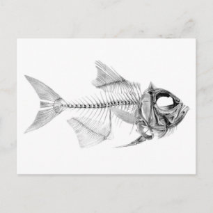 Postal Escrúpulo de pescado de cosecha