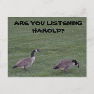 POSTAL ¿ESCUCHAS A HAROLD?