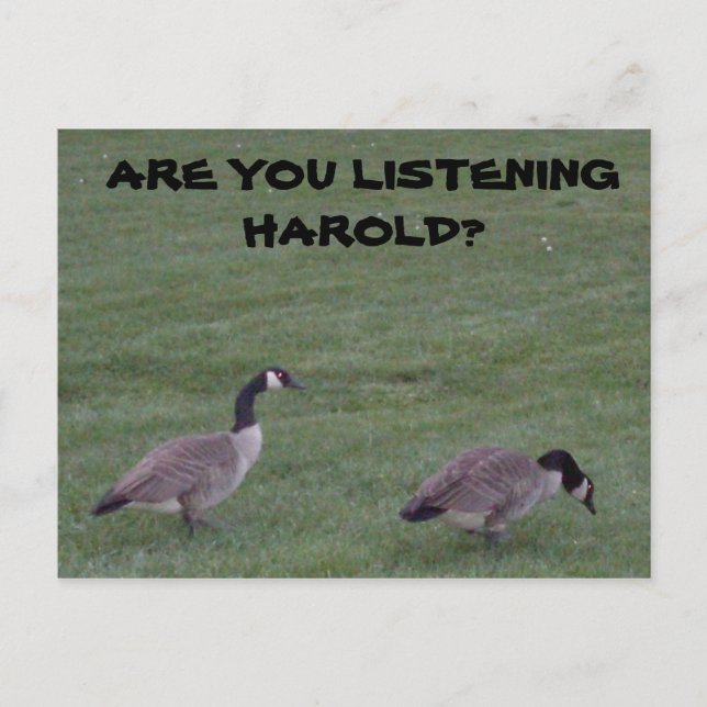 POSTAL ¿ESCUCHAS A HAROLD? (Anverso)