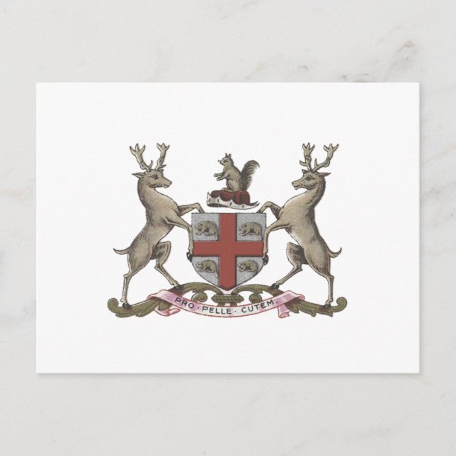 Postal Escudo de Hudson's Bay (Anverso)