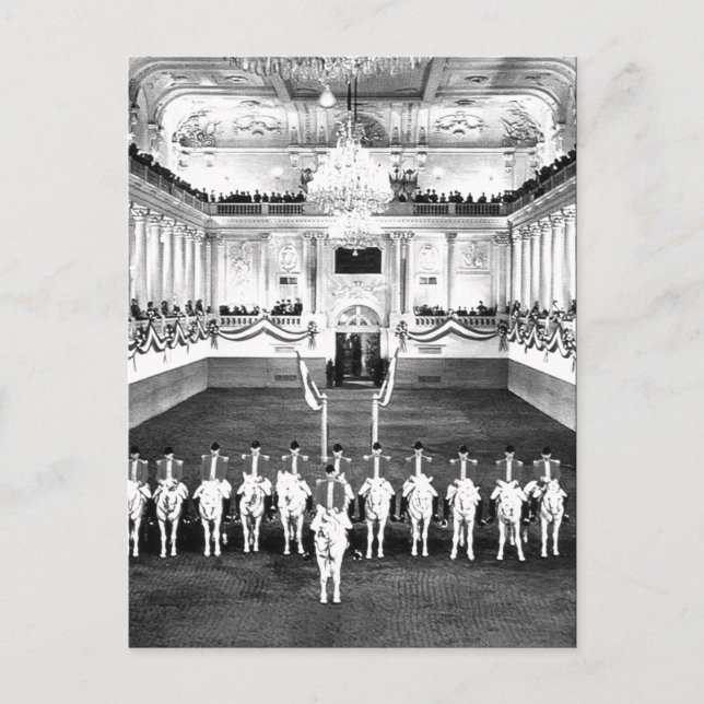 Postal Escuela de equitación española de Viena (Anverso)