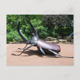 Postal Escultura de escarabajo de Hércules