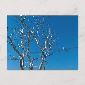 Postal Escultura del Museo de Arte de San Luis