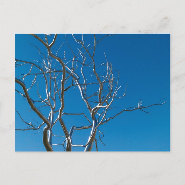 Postal Escultura del Museo de Arte de San Luis (Anverso)