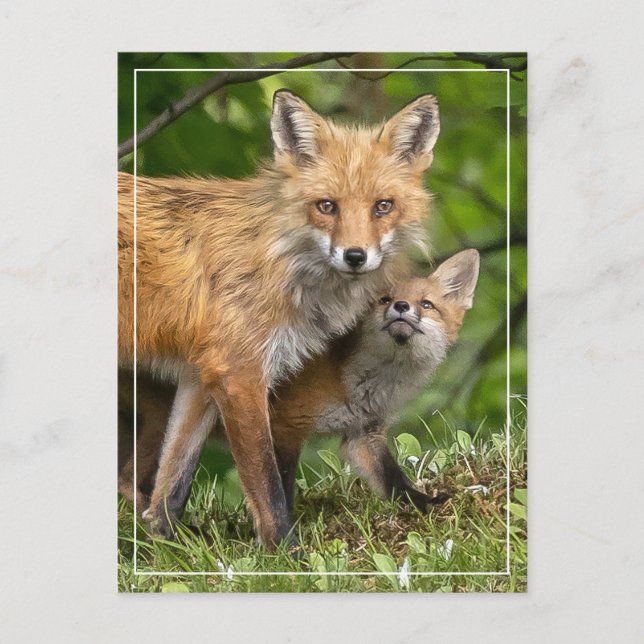 Postal Ese es mi papá (Anverso)