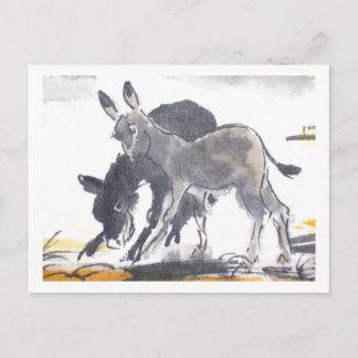 Postal Esel No. 01 * Esel-Postkarten * Donkey-Postales