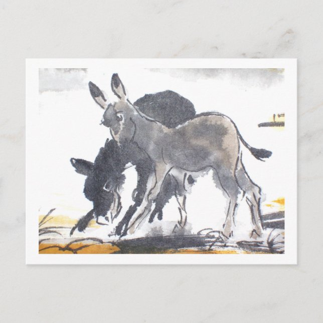 Postal Esel No. 01 * Esel-Postkarten * Donkey-Postales (Anverso)