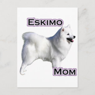 Postal Eskimo American Dog Mom 4