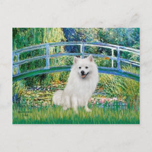Postal Eskimo Spitz 1 - Bridge