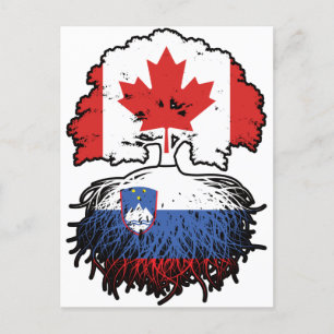 Postal Eslovenia Bandera de raíces eslovenas canadienses 