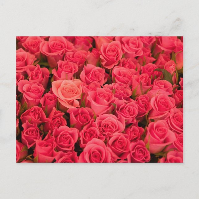 Postal ESLOVENIA, Ljubljana: Mercado público de Ljubljana (Anverso)