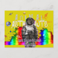 Espaceman de perro de los astronautas animales