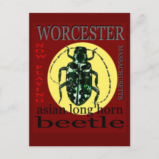 Postal Espalda de Worcester