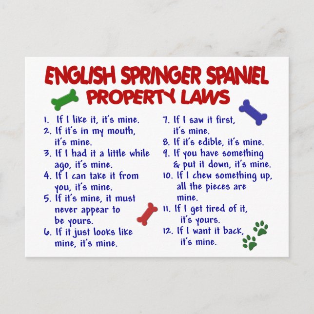 Postal ESPAÑOL - PRINCIPIO INGLÉS - Leyes de propiedad 2 (Anverso)