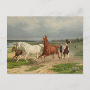 Postal Española: Caballos voladores