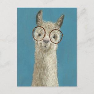 Postal Especificaciones de Llama - Anteojos redondos