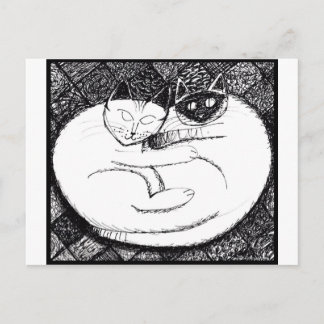 Postal Espectaculares Gatos 3