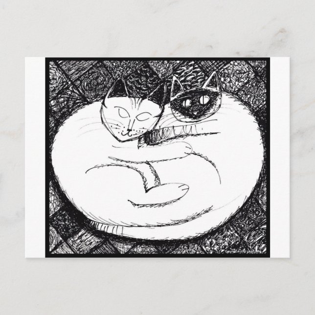 Postal Espectaculares Gatos 3 (Anverso)