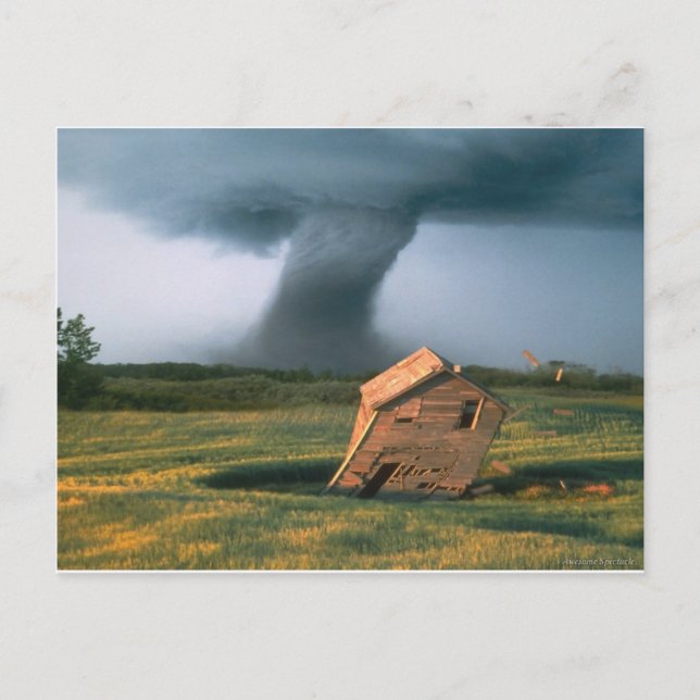 Postal Espectáculo asombroso (Anverso)