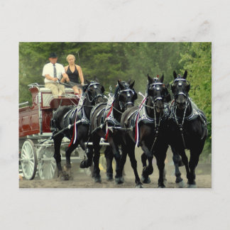 Postal espectáculo de caballos culpeper va