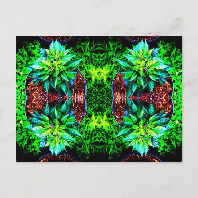 Postal espejo pequino 4 (Anverso)