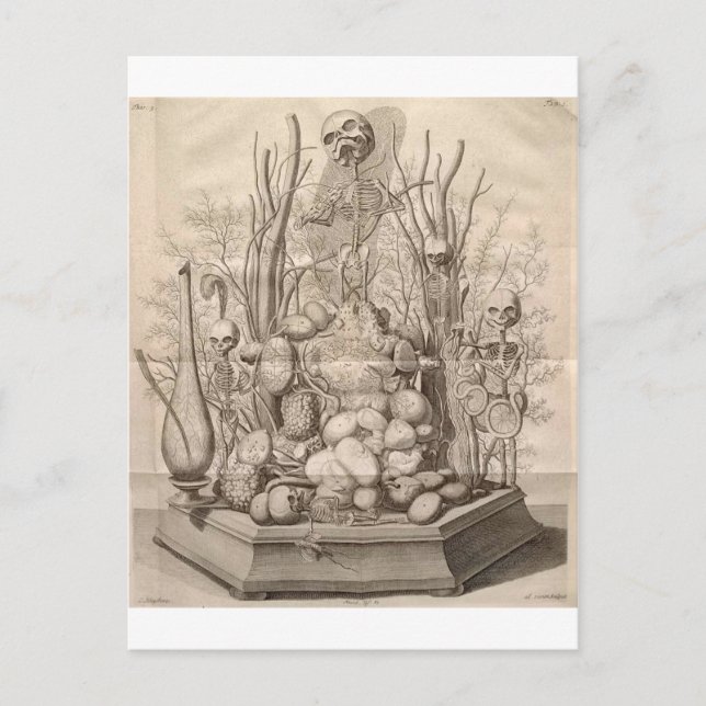 Postal Espeleones, cráneos y árboles de la época de Creep (Anverso)