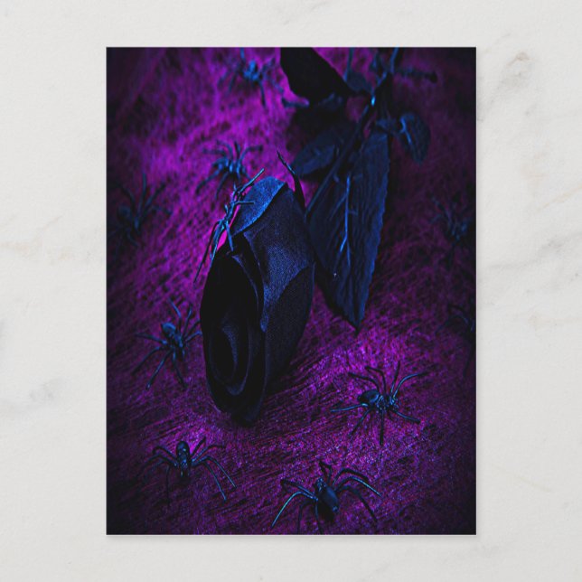 Postal Espeluznante Rosa de material negro, arañas negras (Anverso)