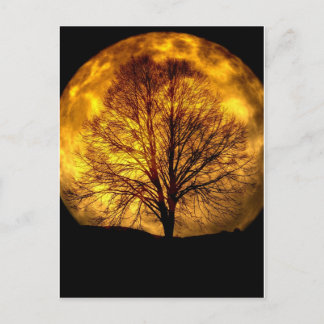 Postal Espeluznantes Regalos de Destino de Otoño Nocturno
