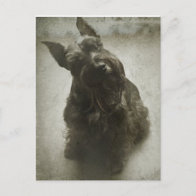 Postal Esperando (Anverso)