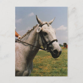 Postal Esperando a realizar - Personalizado