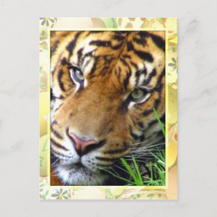 Postal Esperando a usted/Perdiéndote_