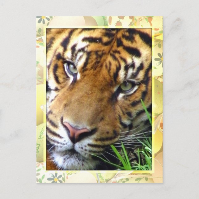 Postal Esperando a usted/Perdiéndote_ (Anverso)