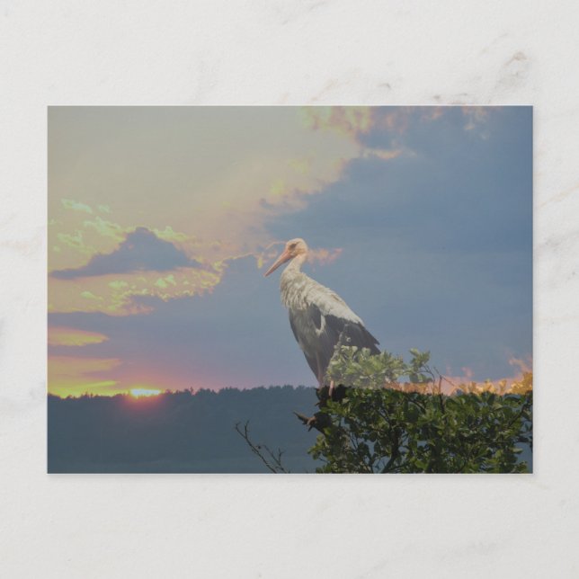 Postal Esperando al otoño (Anverso)