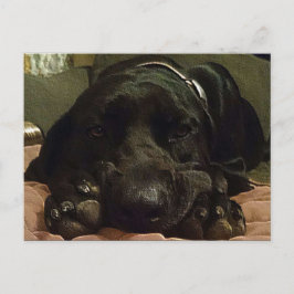 Postal Esperando pacientemente