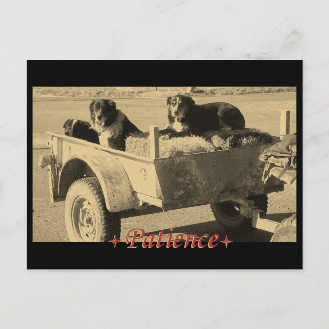 Postal Esperando pacientemente (Anverso)