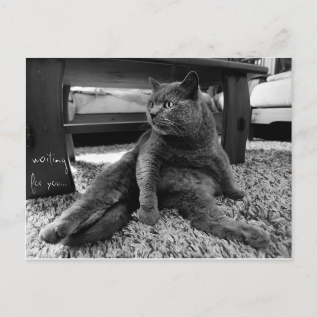 Postal Esperando por usted - Postcard (Anverso)