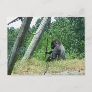 Postal "Esperando y preguntándose"