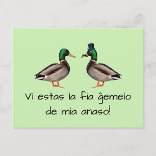 Postal Esperanto: ¡Anaso de fia ĝemelo de mia del la de