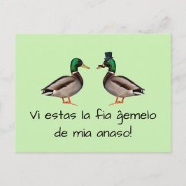 Postal Esperanto: ¡Anaso de fia ĝemelo de mia del la de
