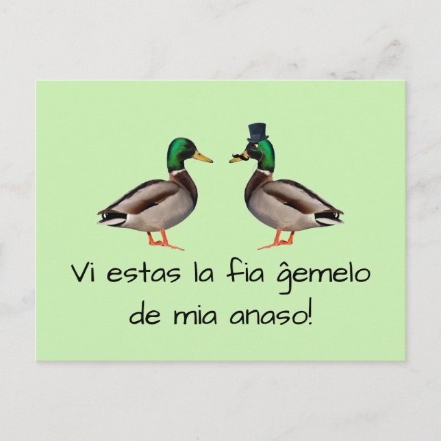 Postal Esperanto: ¡Anaso de fia ĝemelo de mia del la de (Anverso)