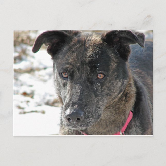 Postal Esperanza (Anverso)