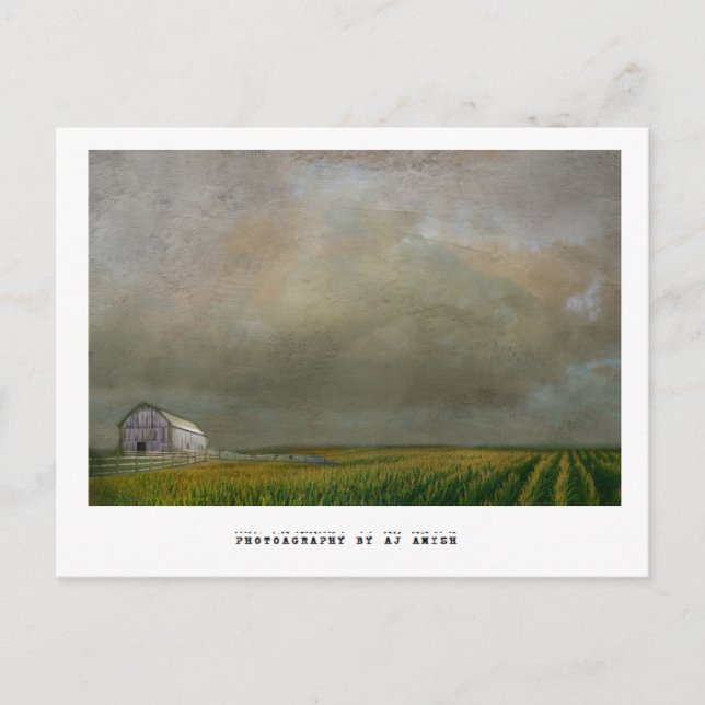 Postal esperanza (Anverso)