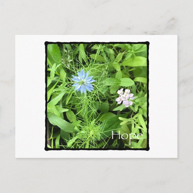 Postal Esperanza horizontal (Anverso)