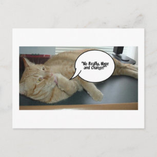 Postal Esperanza y cambio/humor de gato