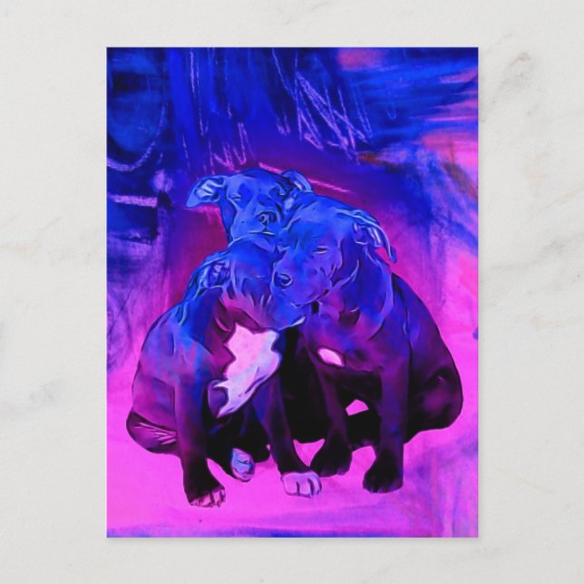 Postal Esperanza y caridad, perros abusados de la fe del (Anverso)