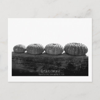 Postal Esperar en línea