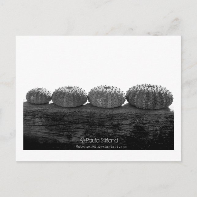 Postal Esperar en línea (Anverso)