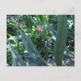 Postal esperar lo inesperado