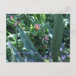 Postal esperar lo inesperado